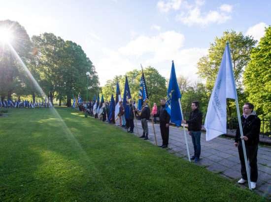 Lipu päeva tähistamine, 2015